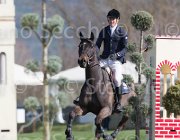Whitaker W  Fandango TosTour2013- S5 2802 : Arezzo, Arezzo Equestrian Centre, Fandango, Toscana Tour 2013, Whitacker William, foto di Stefano Secchi ©